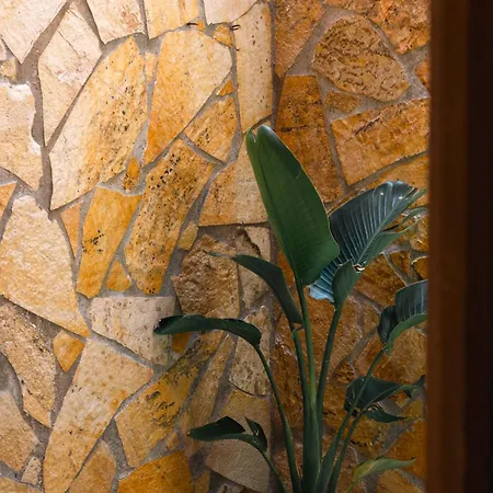 Appartamento Artemis *